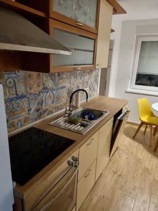 סיסאק Studio Apartman Bojana 34M2,Free Wifi,Parking מראה חיצוני תמונה