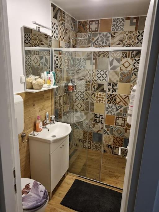 סיסאק Studio Apartman Bojana 34M2,Free Wifi,Parking מראה חיצוני תמונה